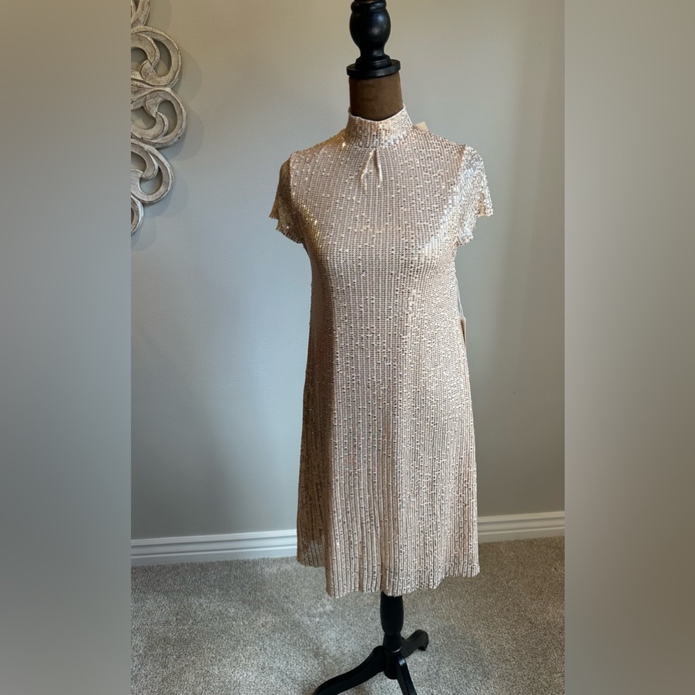 JOYFOLIE Mia Joy Michelle Dress In Champagne - Picture 3 of 16